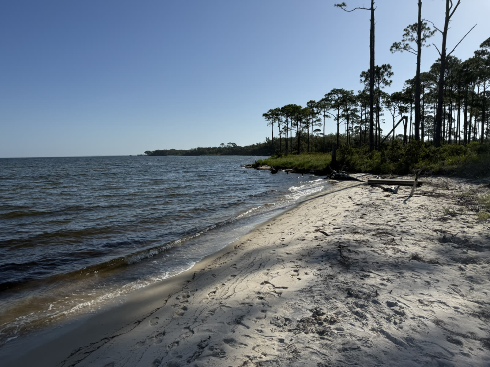 Quiet shoreline lined with pine trees along the Emerald Coast